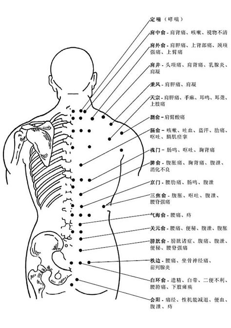 背後穴位圖|人體經絡穴道資料庫查詢大全（2024年更新）